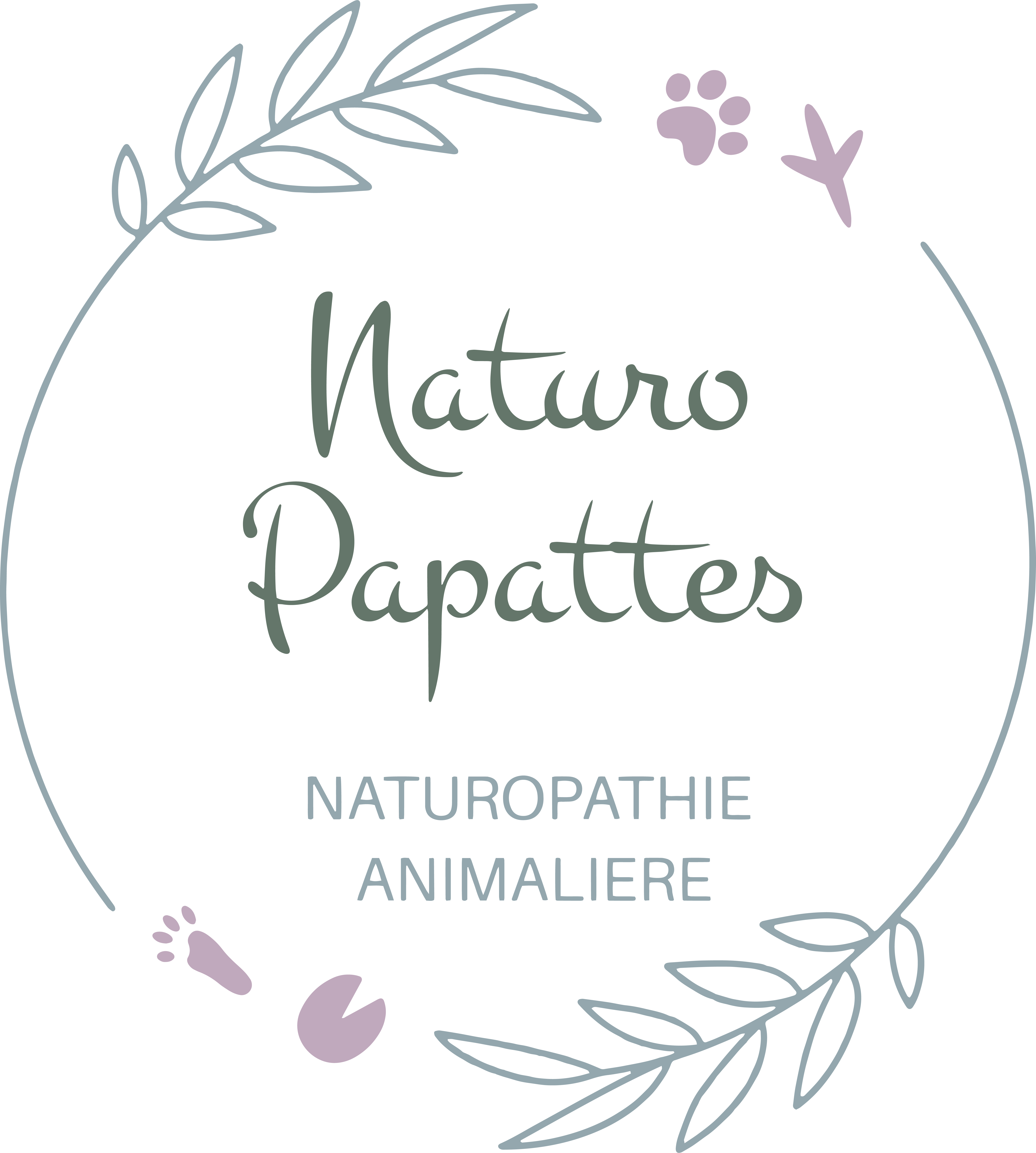 Naturo Papattes