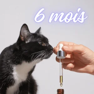 6 mois d'elixir