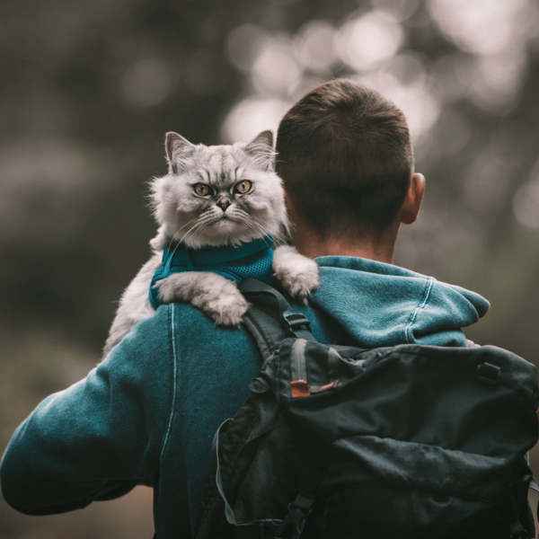 Homme avec son chat sur l'épaule